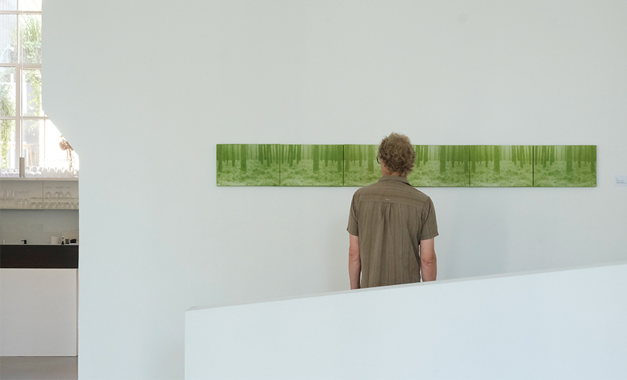 Zwischen Wurzel und Wipfel-Fragmente aus dem Netzwerk Wald - Walkm&uuml;hle, Wiesbaden