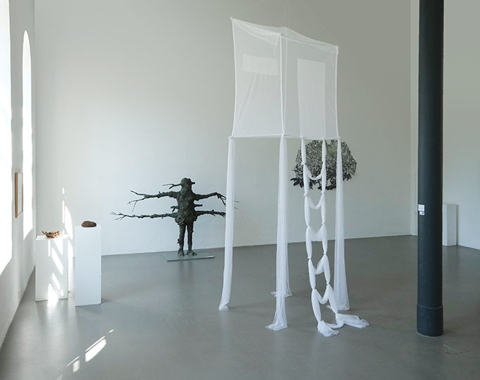 Zwischen Wurzel und Wipfel-Fragmente aus dem Netzwerk Wald - Walkm&uuml;hle, Wiesbaden