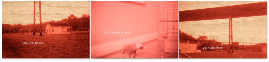 ech versti kee kouschwanz