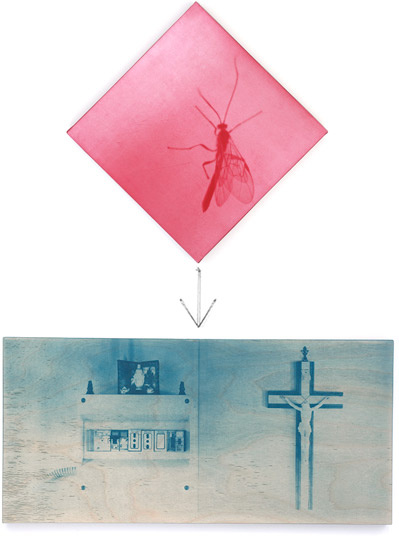 Automate the boring stuff