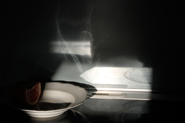 Brynd�s Hr&ouml;nn Ragnarsd�ttir